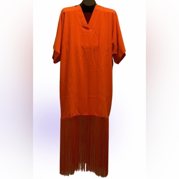 ZIXLUXE Fashion Loose Fitting half Fringe Kaftan | Coverup | maxi  V Neck dress - Picture 1 of 14